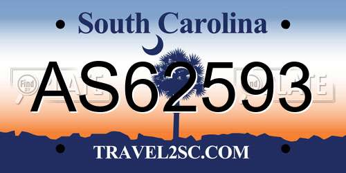 AS62593 South Carolina License Plate
