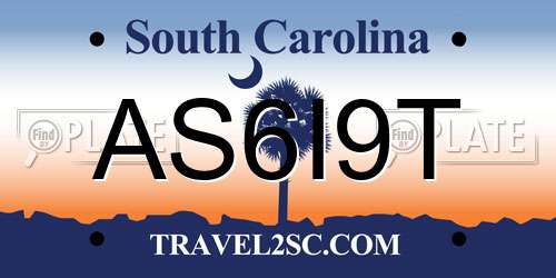 AS6I9T South Carolina License Plate