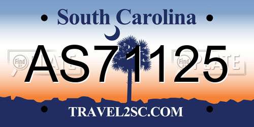 AS71125 South Carolina License Plate