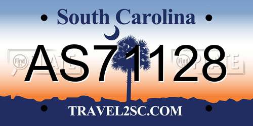 AS71128 South Carolina License Plate