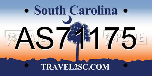 AS71175 South Carolina License Plate