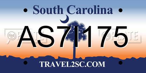 AS7I175 South Carolina License Plate