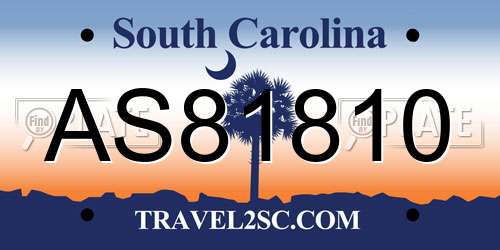 AS81810 South Carolina License Plate