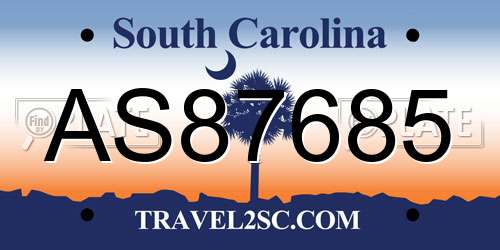 AS87685 South Carolina License Plate