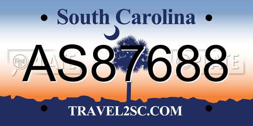 AS87688 South Carolina License Plate