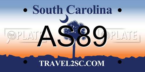 AS89 South Carolina License Plate