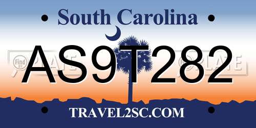 AS9T282 South Carolina License Plate