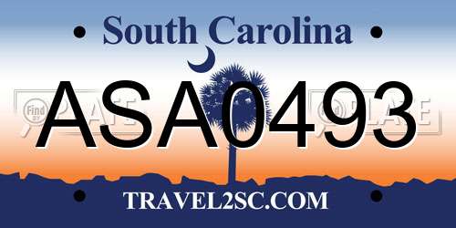 ASA0493 South Carolina License Plate