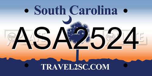 ASA2524 South Carolina License Plate