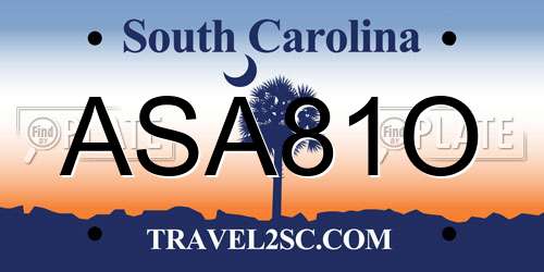 ASA81O South Carolina License Plate
