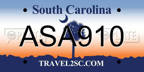 ASA910 South Carolina License Plate