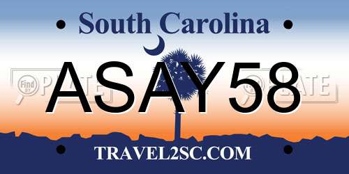 ASAY58 South Carolina License Plate