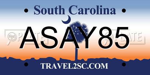ASAY85 South Carolina License Plate
