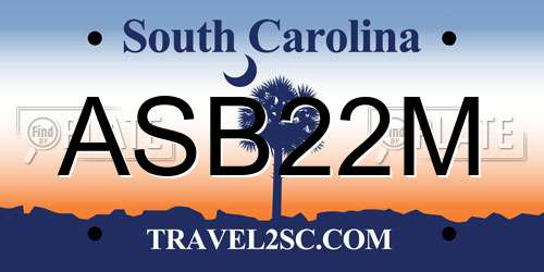 ASB22M South Carolina License Plate