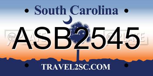 ASB2545 South Carolina License Plate