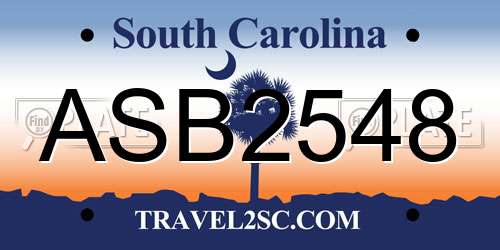 ASB2548 South Carolina License Plate