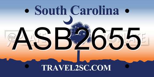 ASB2655 South Carolina License Plate