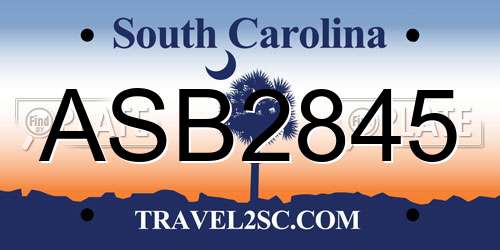 ASB2845 South Carolina License Plate