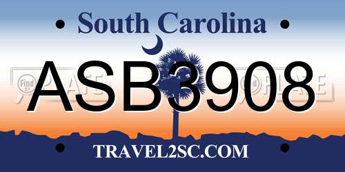 ASB3908 South Carolina License Plate