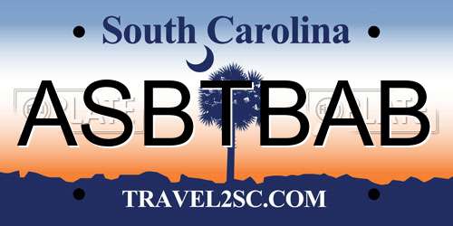 ASBTBAB South Carolina License Plate