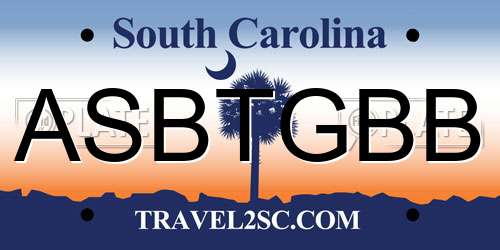 ASBTGBB South Carolina License Plate