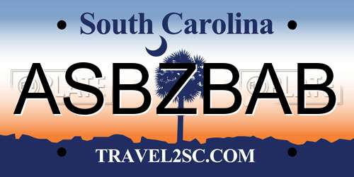 ASBZBAB South Carolina License Plate
