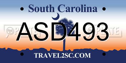 ASD493 South Carolina License Plate