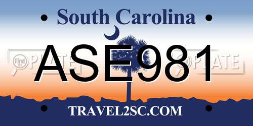 ASE981 South Carolina License Plate