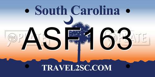 ASF163 South Carolina License Plate
