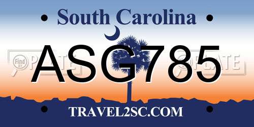 ASG785 South Carolina License Plate