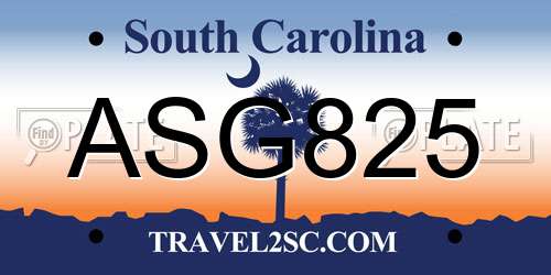 ASG825 South Carolina License Plate