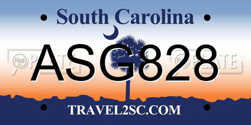 ASG828 South Carolina License Plate