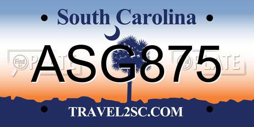 ASG875 South Carolina License Plate