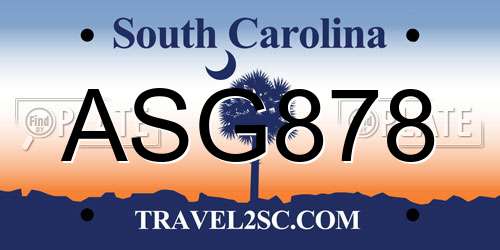 ASG878 South Carolina License Plate