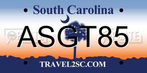 ASGT85 South Carolina License Plate