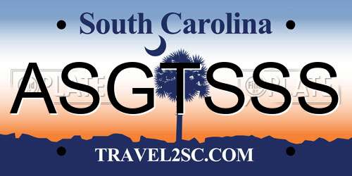 ASGTSSS South Carolina License Plate