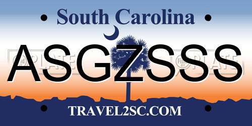 ASGZSSS South Carolina License Plate