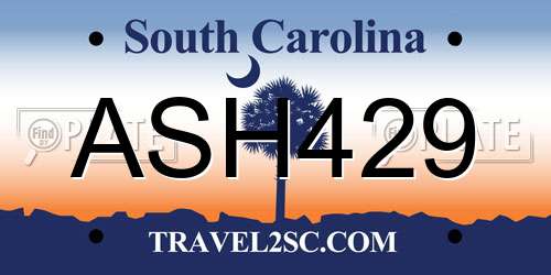 ASH429 South Carolina License Plate