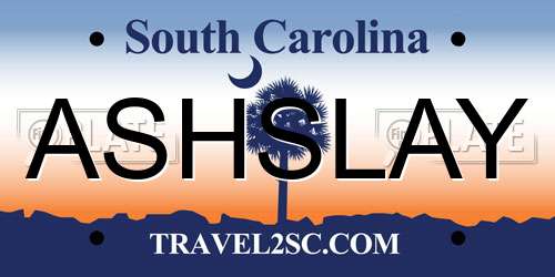 ASHSLAY South Carolina License Plate