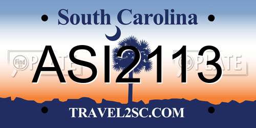 ASI2113 South Carolina License Plate