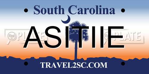 ASITIIE South Carolina License Plate
