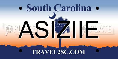 ASIZIIE South Carolina License Plate