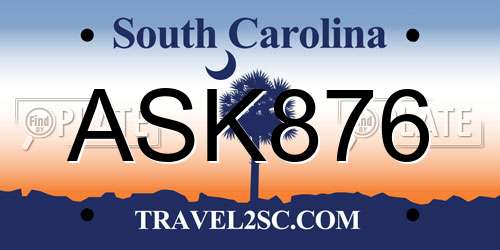 ASK876 South Carolina License Plate
