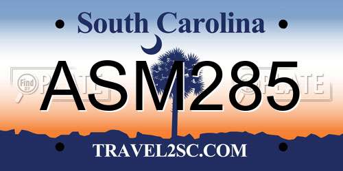 ASM285 South Carolina License Plate