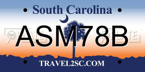 ASM78B South Carolina License Plate