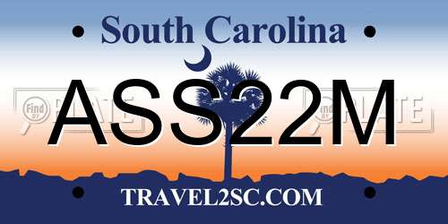 ASS22M South Carolina License Plate