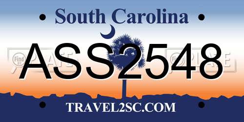 ASS2548 South Carolina License Plate