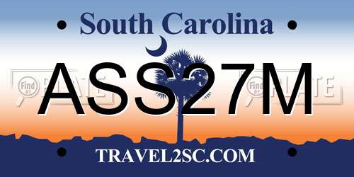 ASS27M South Carolina License Plate
