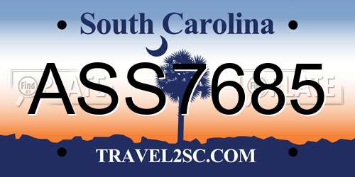 ASS7685 South Carolina License Plate