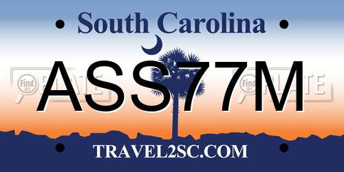 ASS77M South Carolina License Plate